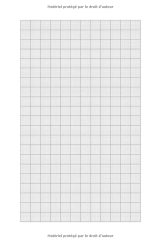 Papier millimétré - Carnet de 105 pages - Format 15 x 22 cm (A5)