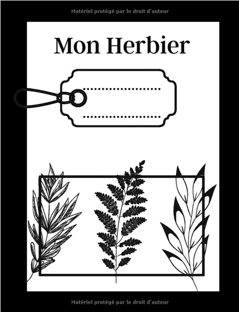 Mon herbier - 56 fiches à remplir : grand format A4 pour enfants - 124 pages