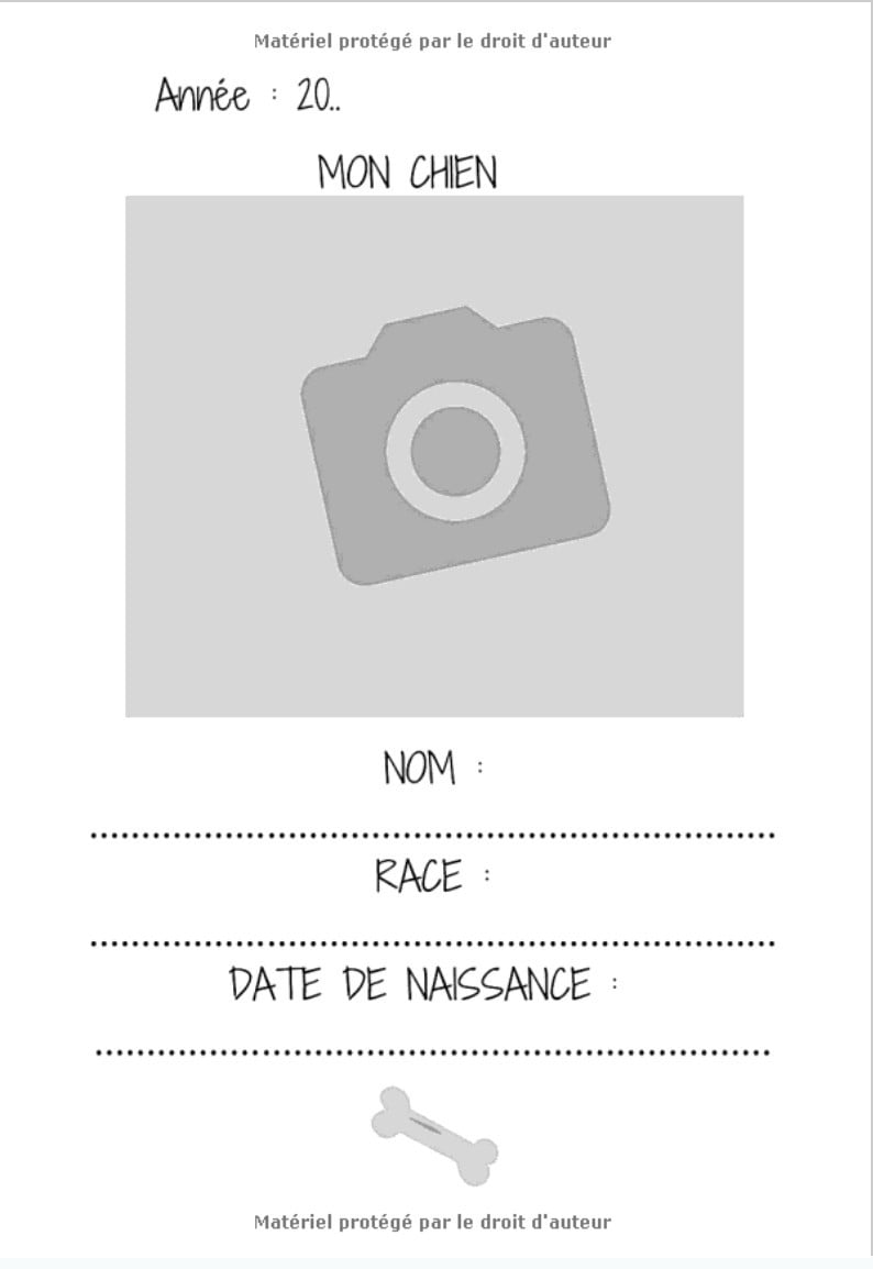Carnet d'entrainement agility chien - 52 semaines pour suivre l'évolution - 209 pages Format 18 x 25 cm