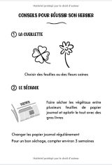 HERBIER 100 pages de fiches à compléter avec conseils - Format 18 x 25 cm