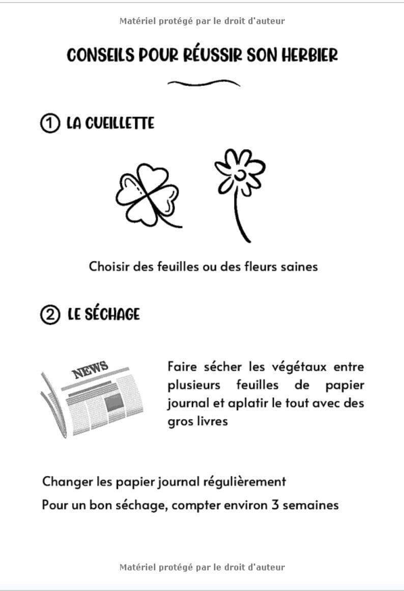 HERBIER 100 pages de fiches à compléter avec conseils - Format 18 x 25 cm