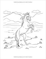 Livre de coloriage cheval chevaux pour enfant 8-12 ans - 120 pages Format A4