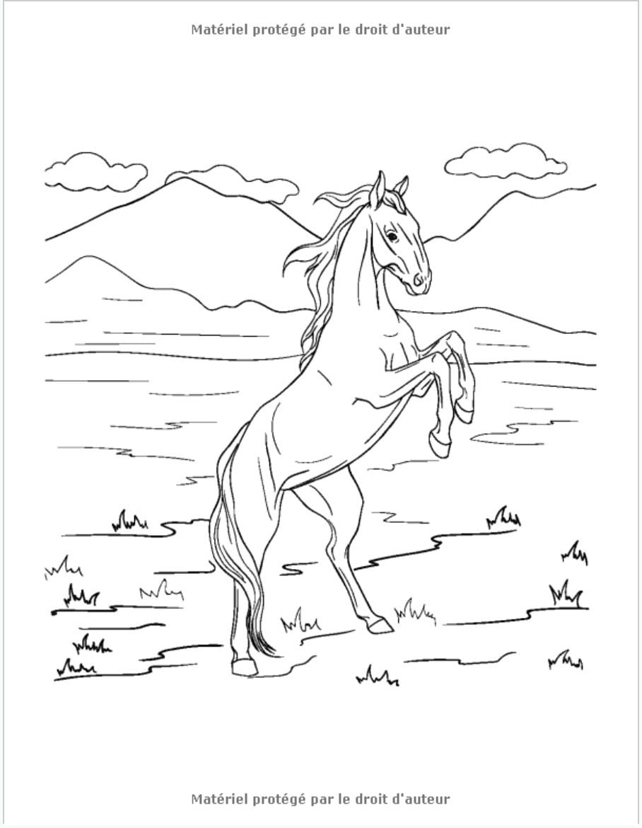 Livre de coloriage cheval chevaux pour enfant 8-12 ans - 120 pages Format A4