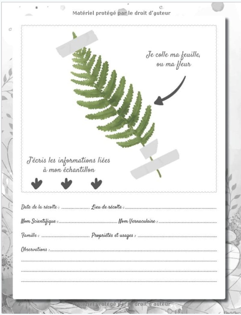 Herbier à remplir : Fleurs ou Feuilles Plantes pressées et séchées - 50 fiches à renseigner 105 pages - Format 21,59 x 27,94cm