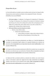 Journal de Tarot - Avec Guide de Taromancie - 132 pages Format 15 x 22 cm