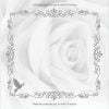 Livre du Souvenir : 100 pages pour honorer la mémoire d'un proche - Format 21 x 21 cm