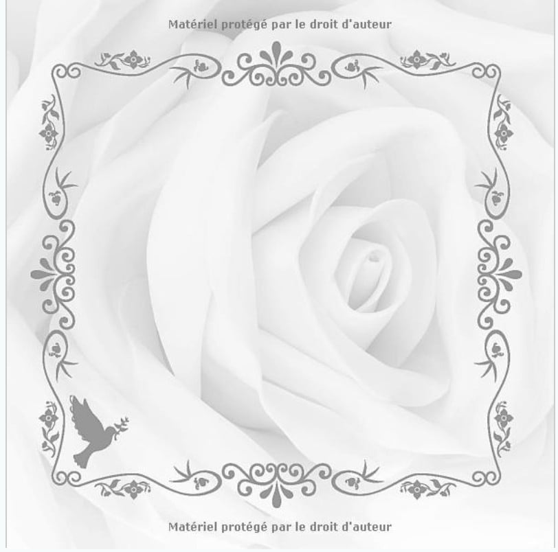 Livre du Souvenir : 100 pages pour honorer la mémoire d'un proche - Format 21 x 21 cm