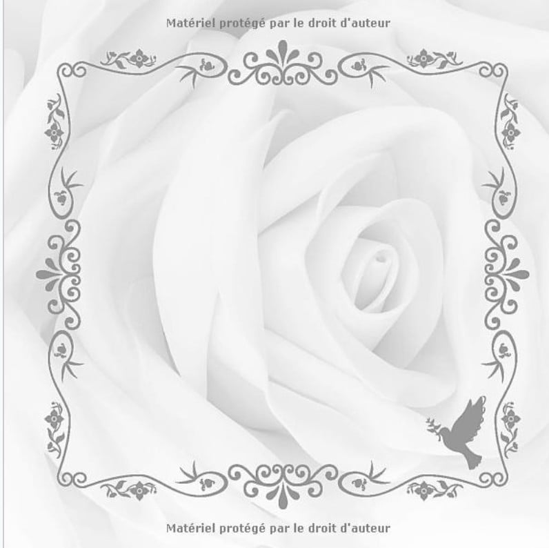 Livre du Souvenir : 100 pages pour honorer la mémoire d'un proche - Format 21 x 21 cm