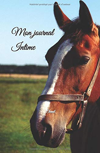 Journal intime cheval : Carnet de notes - 100 pages Format 13 x 20 cm