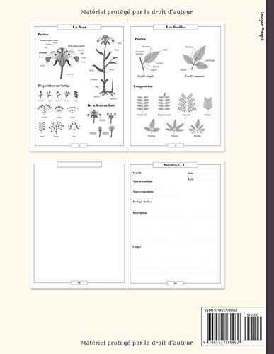 Herbier à remplir - récolter jusqu'à 55 spécimens avec illustrations et termes botaniques - 122 pages Format A4