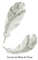 Carnet de Mots de Passe - 98 Pages - Format A5 - Plumes