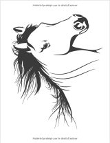 Livre de coloriage chevaux, pour filles de 8-12 ans - 120 pages - Format A4