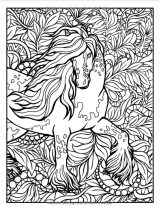 Chevaux Livre De Coloriage : 8-12 ans, 50 Dessins anti stress - 100 pages Format A4