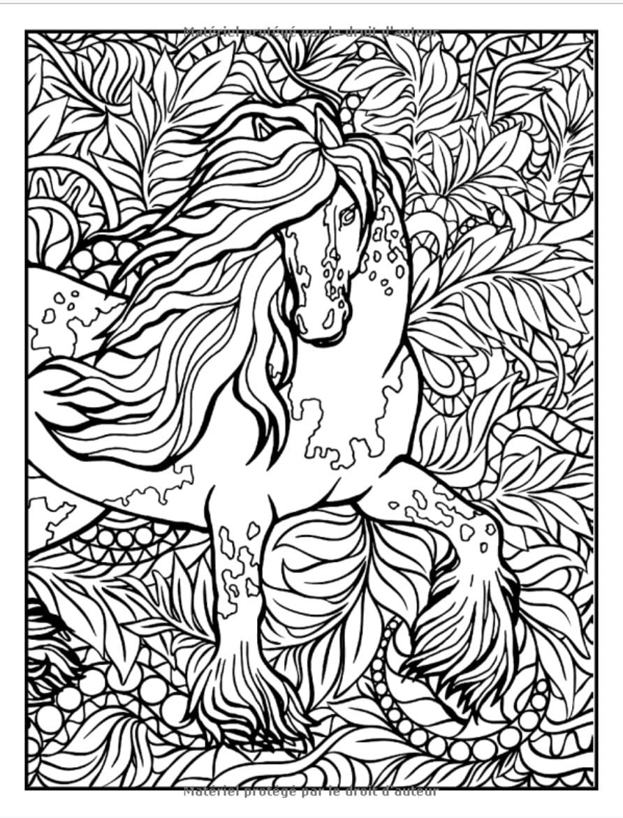 Chevaux Livre De Coloriage : 8-12 ans, 50 Dessins anti stress - 100 pages Format A4