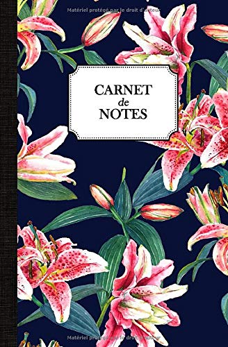 Carnet de notes lignés - 160 pages Format 13 x 20 cm