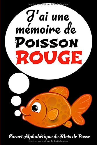 Carnet Alphabétique de Mots de Passe : identifiants, adresse email, courriel, codes ... 105 pages - Format A5
