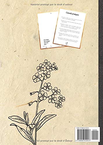 Herbier enfant à remplir : Carnet de récolte au format A4 (120 pages)