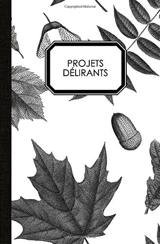 Carnet de notes - Projets délirants - 160 pages - Format 13 x 20 cm