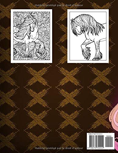 Chevaux Livre De Coloriage : 8-12 ans, 50 Dessins anti stress - 100 pages Format A4