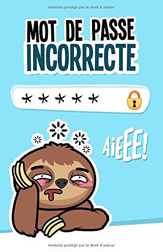 Carnet de mots de passe internet à remplir avec répertoire alphabétique - 110 pages Format 13 x 20 cm