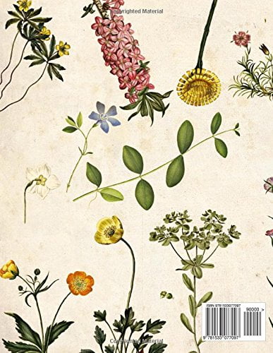 Herbier - Identifier et collecter feuilles, fleurs et plantes - 104 pages Format A4