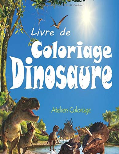 Livre de Coloriage Dinosaure pour enfants : 40 Dessins Réalistes - 82 pages format A4