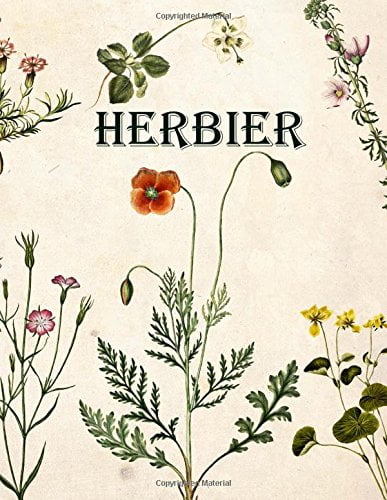 Herbier - Identifier et collecter feuilles, fleurs et plantes - 104 pages Format A4