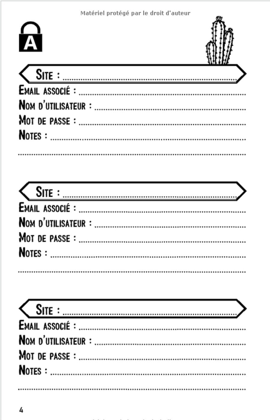 Carnet de mots de passe - adresses internet et codes secrets - 114 pages Format 13 x 20 cm