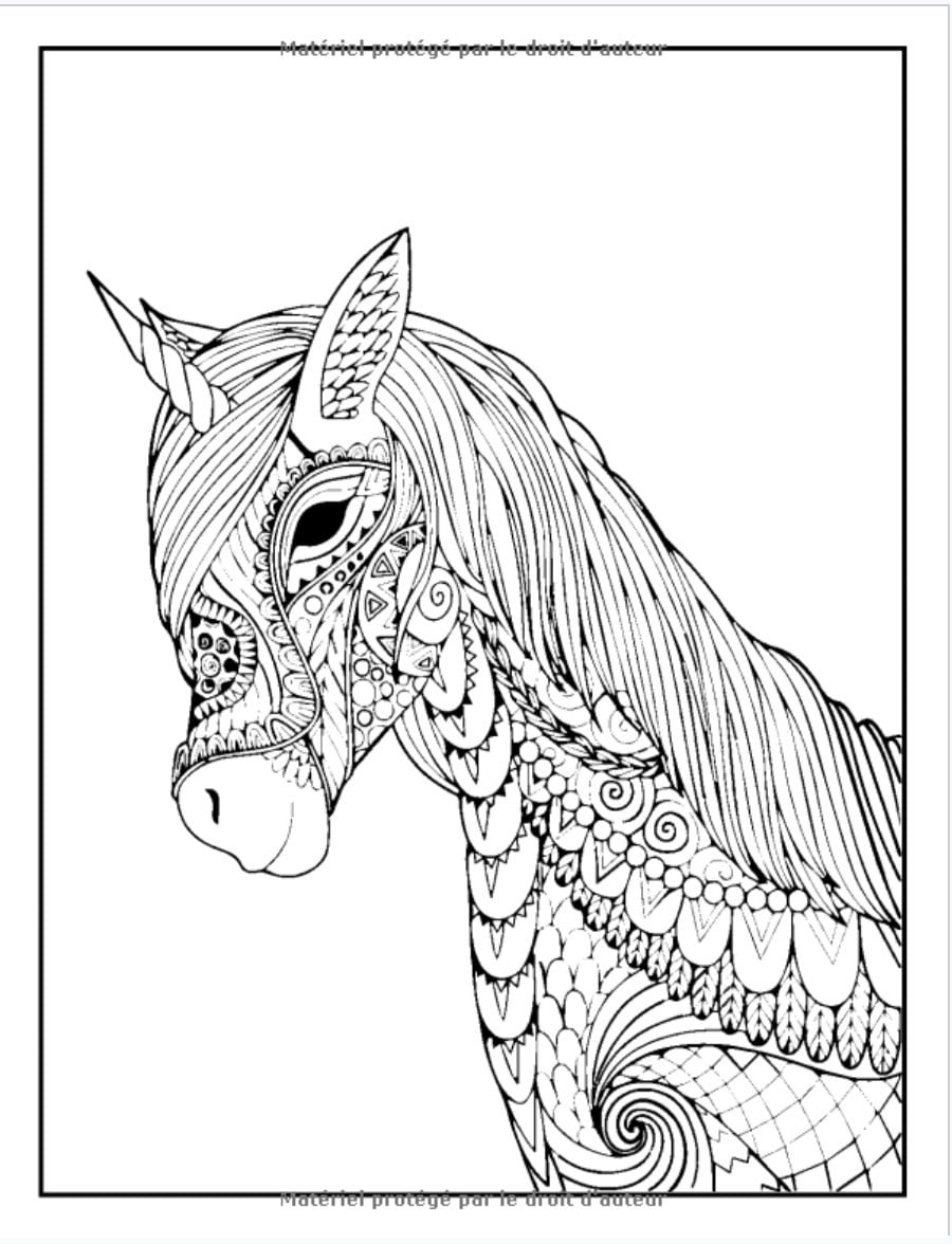 Chevaux Livre De Coloriage : 8-12 ans, 50 Dessins anti stress - 100 pages Format A4