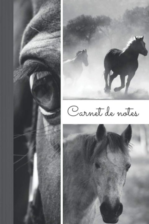 Carnet de notes cheval - Intérieur ligné - 110 pages Format 15 x 22 cm
