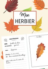 HERBIER 100 pages de fiches à compléter avec conseils - Format 18 x 25 cm