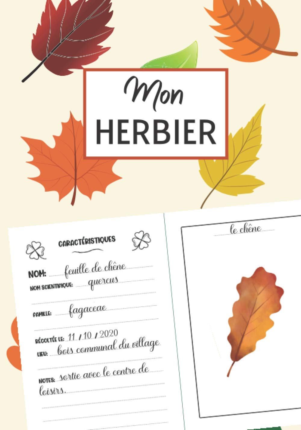HERBIER 100 pages de fiches à compléter avec conseils - Format 18 x 25 cm