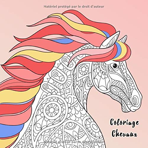 Coloriage Chevaux : 50 motifs merveilleux de chevaux à colorier pour enfants et adultes - 109 pages - 21,5 x 21,5 cm