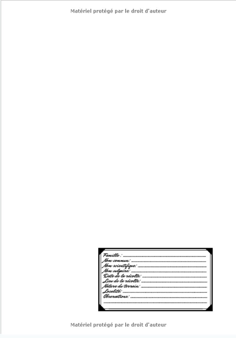 Herbier Cahier format A4 21 x 29,7 cm - 98 pages à compléter