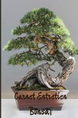 CARNET ENTRETIEN BONSAÏ : pour suivi et soins des bonsaïs - 100 pages Format 15 x 22 cm - Fabriqué en France