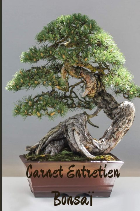 CARNET ENTRETIEN BONSAÏ : pour suivi et soins des bonsaïs - 100 pages Format 15 x 22 cm - Fabriqué en France