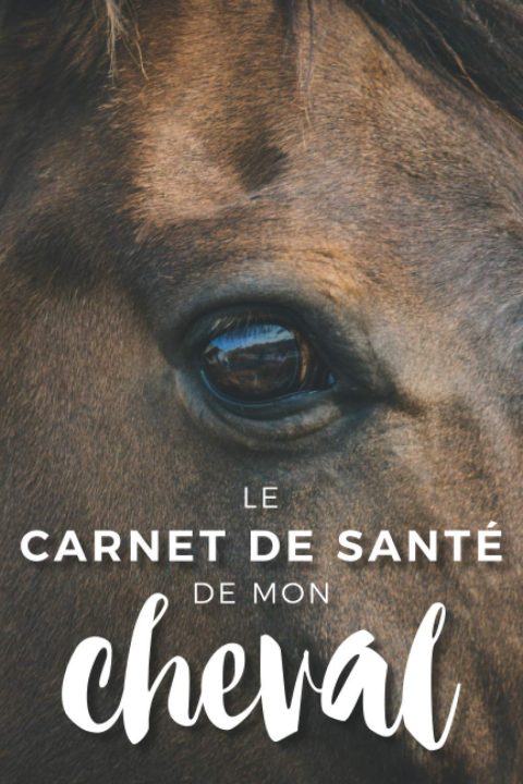 Carnet de Santé Cheval : Suivi des soins, Alimentation, Traitements et RDV - 120 pages Format 15 x 22 cm