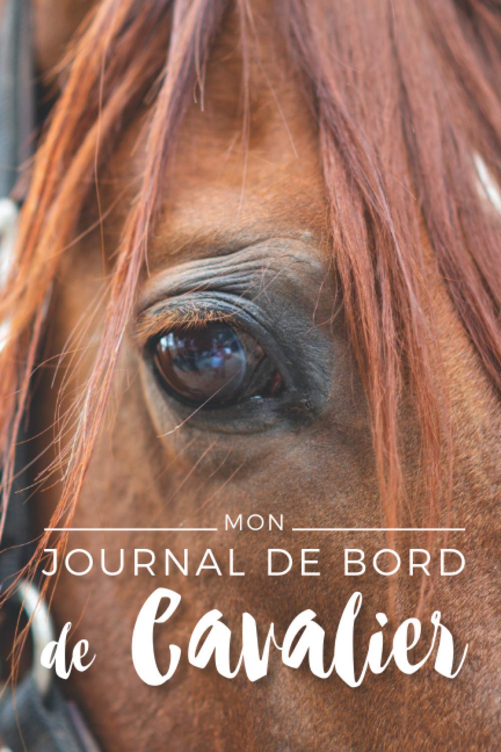 Journal de Bord de Cavalier : Carnet d'équitation à remplir - 120 pages format 15 x 22 cm