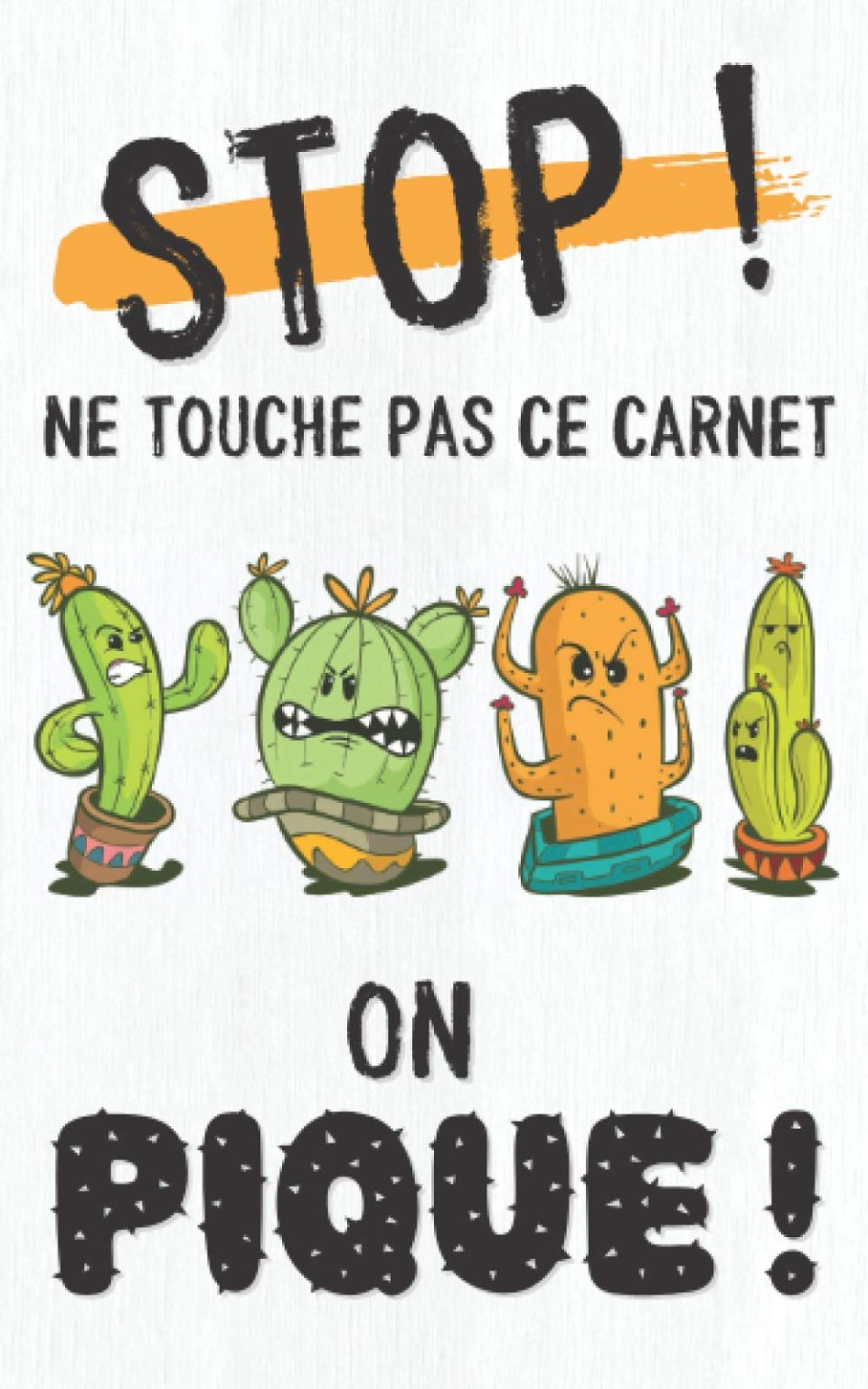 Carnet de mots de passe - adresses internet et codes secrets - 114 pages Format 13 x 20 cm