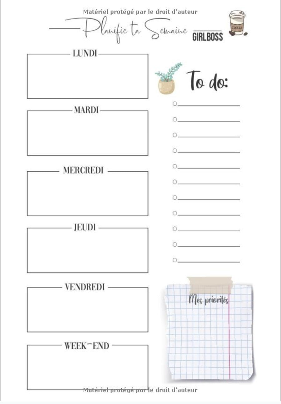 Carnet indispensable pour une semaine parfaitement organisée : Planner, to do, tracker - 145 pages Format 18 x 25 cm