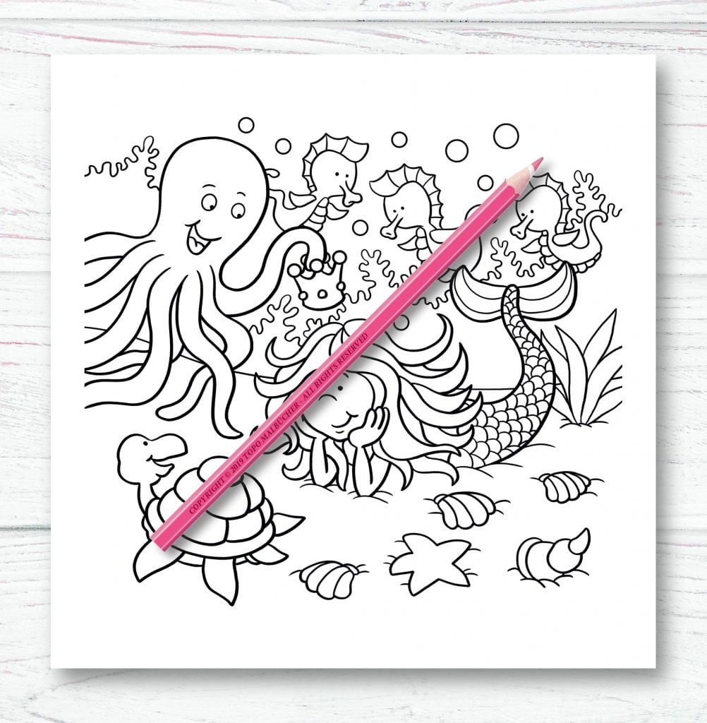 Livre de Coloriage pour Enfants : Fées, Princesses, Sirènes, Licornes - 62 pages Format 21,5 x 21,5 cm