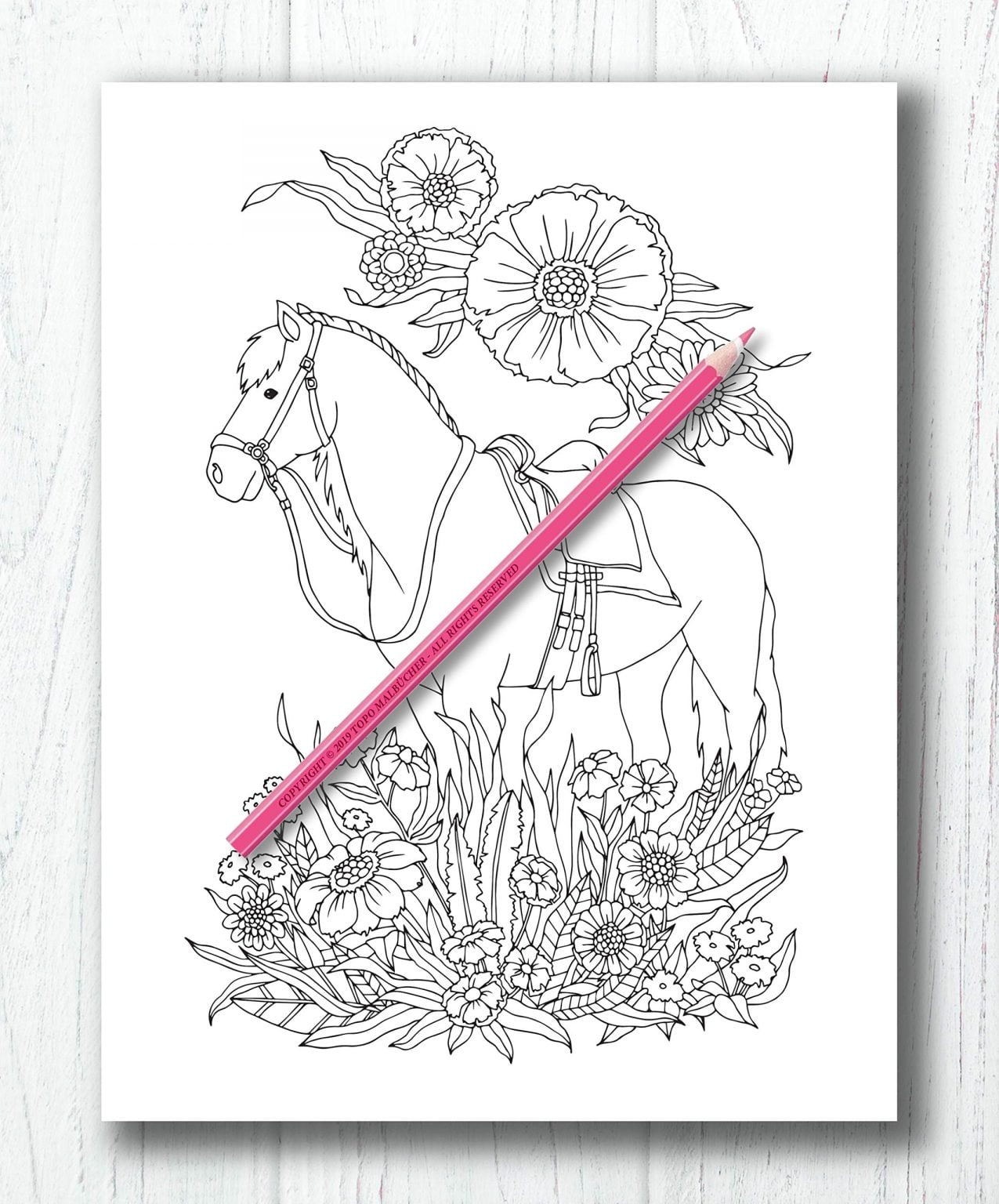 Livre de Coloriages Chevaux - 54 pages format A4