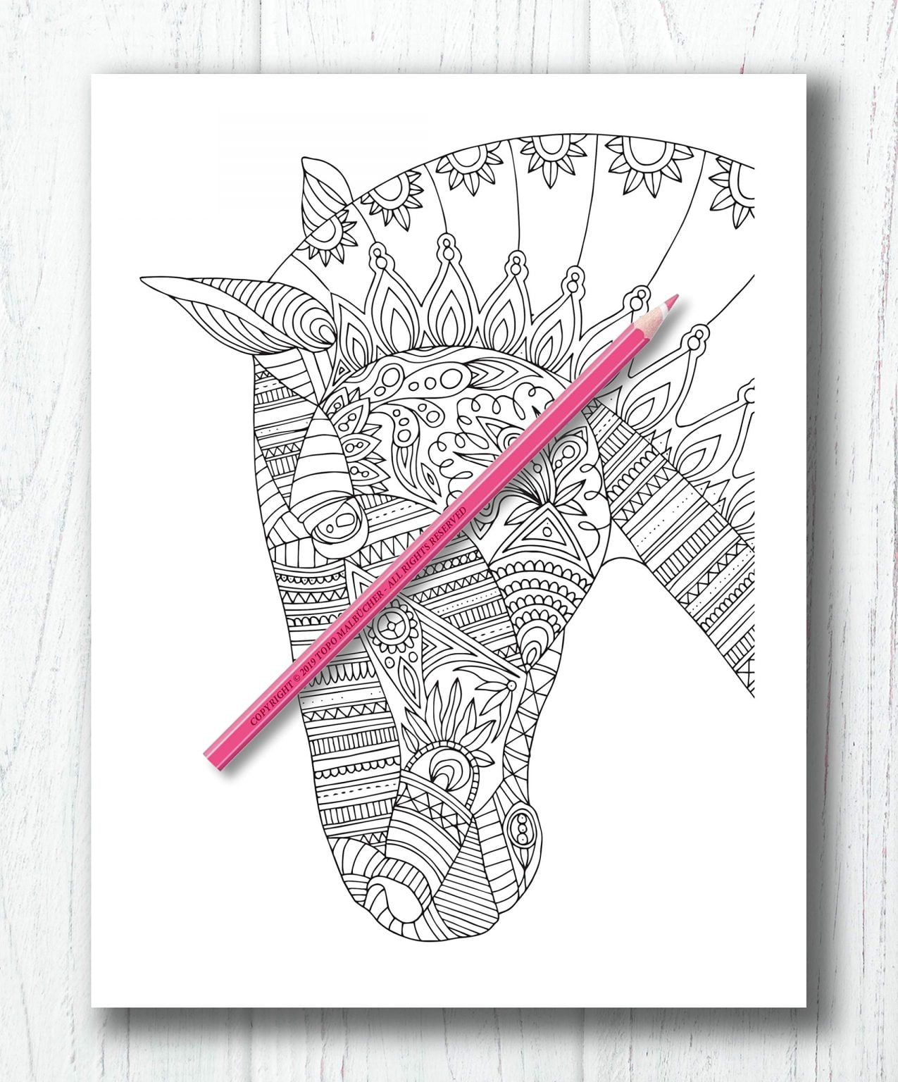 Livre de Coloriages Chevaux - 54 pages format A4