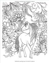 Coloriage Chevaux pour enfants : 8 ans et plus - 70 pages - Grand Format A4