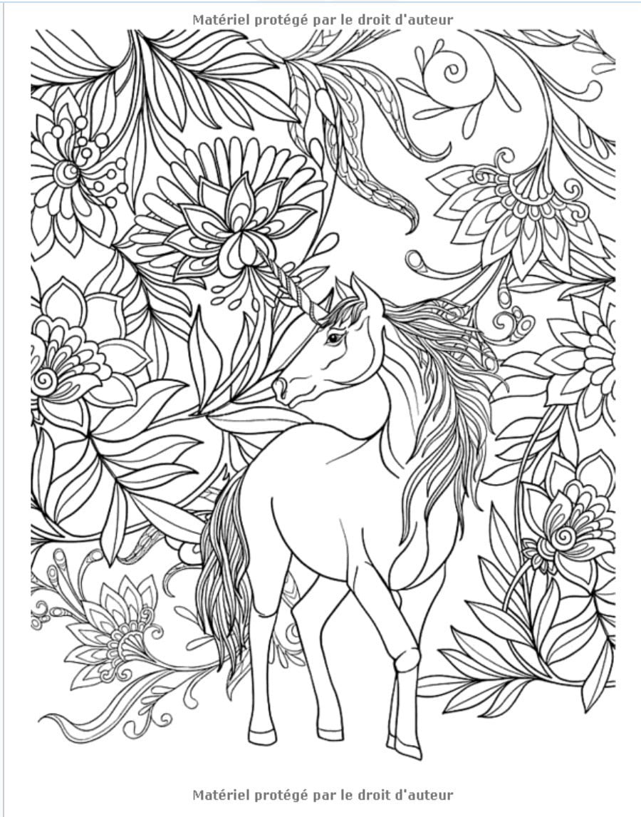 Coloriage Chevaux pour enfants : 8 ans et plus - 70 pages - Grand Format A4
