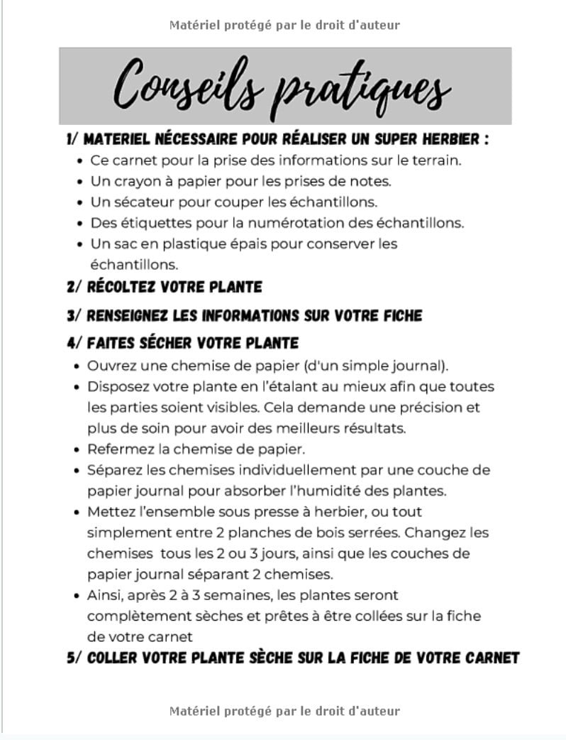 Carnet herbier adulte / enfant pour recueil feuilles, plantes et fleurs séchées - 105 pages Format a4