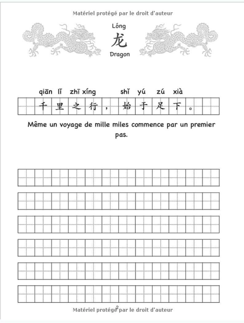 Cahier d’Exercice pour Écriture Chinoise - 110 pages Format A4