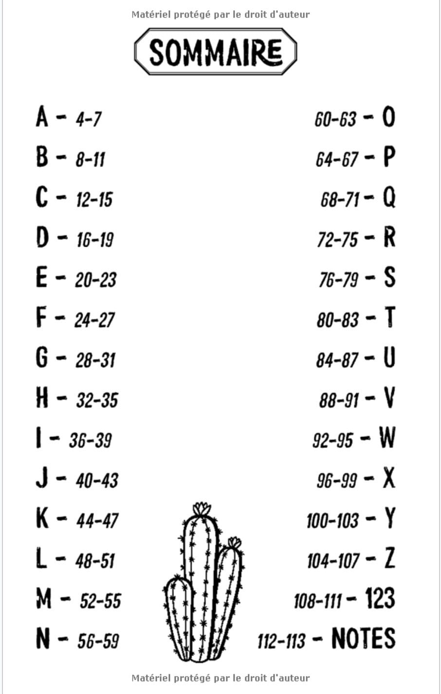 Carnet de mots de passe - adresses internet et codes secrets - 114 pages Format 13 x 20 cm