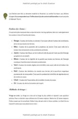 Journal Tarot - Avec guide de Tirages et significations - 130 pages Format 15 x 22 cm