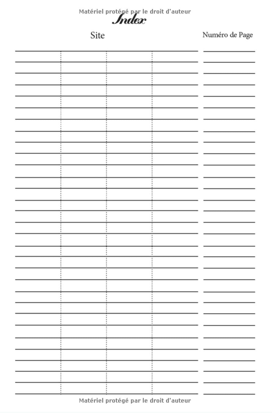 Carnet de Mots de Passe - Répertoire codes secrets - Sites internet - Identifiants - 108 pages Format 15 x 22 cm
